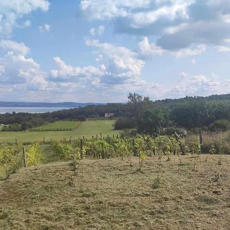 Villa Balaton House Balatonudvari